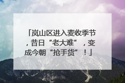 岚山区进入麦收季节，昔日“老大难”，变成今朝“抢手货”！