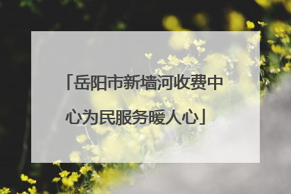 岳阳市新墙河收费中心为民服务暖人心