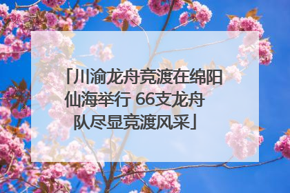 川渝龙舟竞渡在绵阳仙海举行 66支龙舟队尽显竞渡风采
