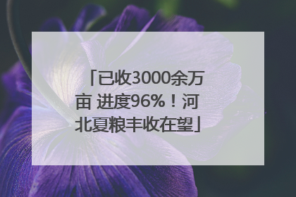 已收3000余万亩 进度96%！河北夏粮丰收在望