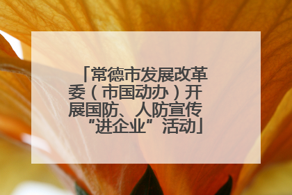 常德市发展改革委（市国动办）开展国防、人防宣传“进企业”活动