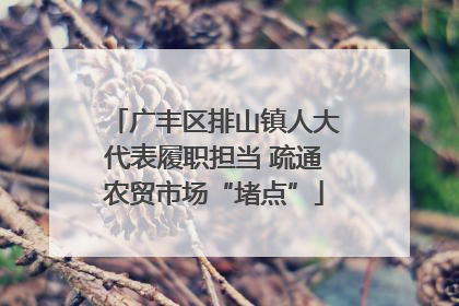 广丰区排山镇人大代表履职担当 疏通农贸市场“堵点”