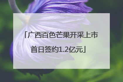 广西百色芒果开采上市 首日签约1.2亿元