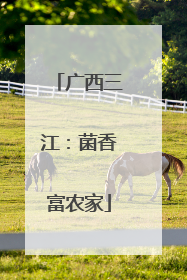 广西三江：菌香富农家