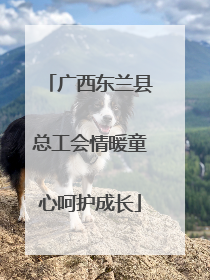 广西东兰县总工会情暖童心呵护成长