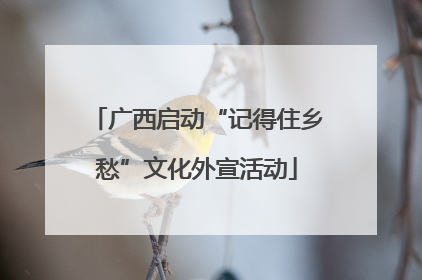 广西启动“记得住乡愁”文化外宣活动