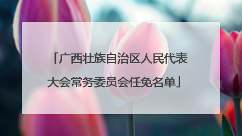 广西壮族自治区人民代表大会常务委员会任免名单