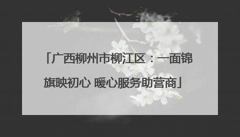 广西柳州市柳江区：一面锦旗映初心 暖心服务助营商