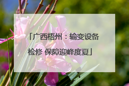 广西梧州：输变设备检修 保障迎峰度夏