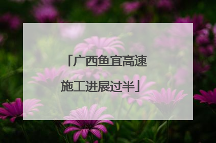 广西鱼宜高速施工进展过半