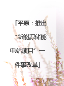 平原：推出“新能源储能电站项目”一件事改革