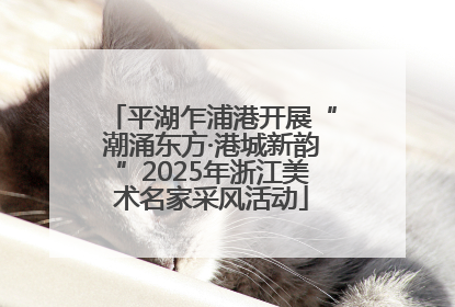 平湖乍浦港开展“潮涌东方·港城新韵”2025年浙江美术名家采风活动