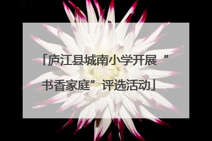 庐江县城南小学开展“书香家庭”评选活动