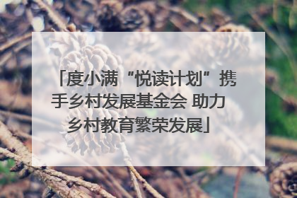 度小满“悦读计划”携手乡村发展基金会 助力乡村教育繁荣发展