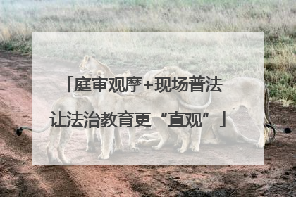 庭审观摩+现场普法 让法治教育更“直观”