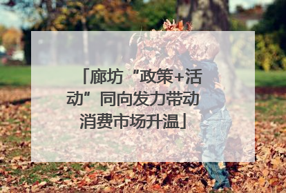 廊坊“政策+活动”同向发力带动消费市场升温