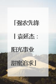 强农先锋丨袁延杰：阳光事业 甜蜜追求