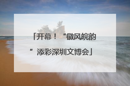 开幕！“徽风皖韵”添彩深圳文博会