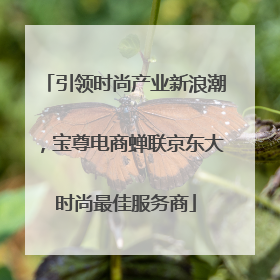 引领时尚产业新浪潮，宝尊电商蝉联京东大时尚最佳服务商