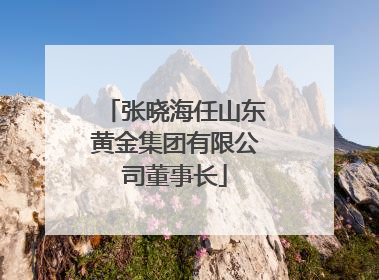 张晓海任山东黄金集团有限公司董事长
