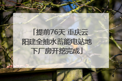 提前76天 重庆云阳建全抽水蓄能电站地下厂房开挖完成