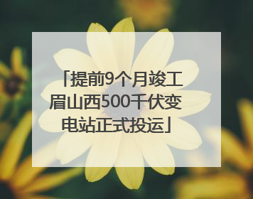 提前9个月竣工 眉山西500千伏变电站正式投运