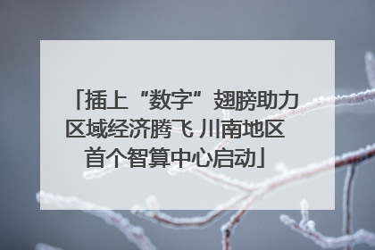 插上“数字”翅膀助力区域经济腾飞 川南地区首个智算中心启动