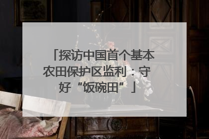 探访中国首个基本农田保护区监利：守好“饭碗田”