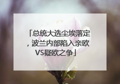 总统大选尘埃落定，波兰内部陷入亲欧VS疑欧之争