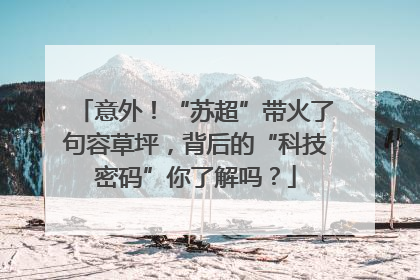 意外！“苏超”带火了句容草坪，背后的“科技密码”你了解吗？