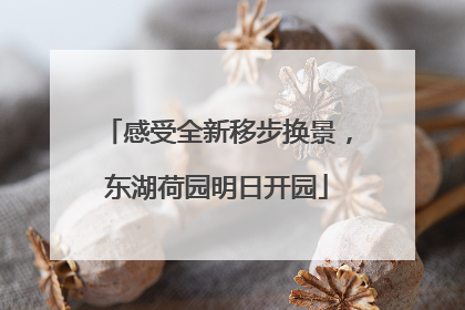 感受全新移步换景，东湖荷园明日开园