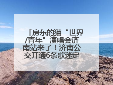房东的猫“世界/青年”演唱会济南站来了！济南公交开通6条歌迷定制专线