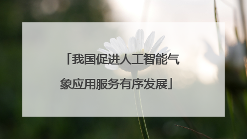 我国促进人工智能气象应用服务有序发展