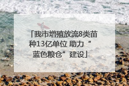 我市增殖放流8类苗种13亿单位 助力“蓝色粮仓”建设