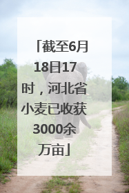 截至6月18日17时，河北省小麦已收获3000余万亩