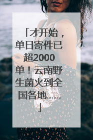 才开始，单日寄件已超2000单！云南野生菌火到全国各地……