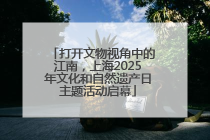 打开文物视角中的江南，上海2025年文化和自然遗产日主题活动启幕