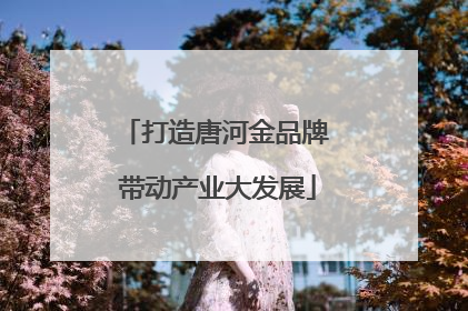 打造唐河金品牌 带动产业大发展