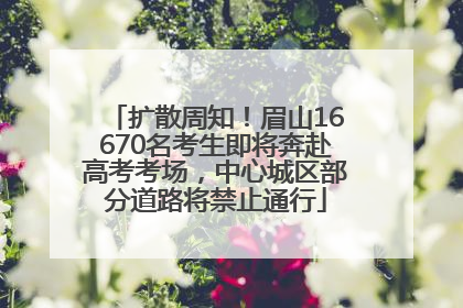 扩散周知！眉山16670名考生即将奔赴高考考场，中心城区部分道路将禁止通行