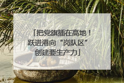 把党旗插在高地！跃进港向“岗队区”创建要生产力