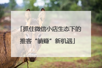 抓住微信小店生态下的推客“躺赚”新机遇