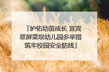 护佑幼苗成长 宜宾翠屏菜坝幼儿园多举措筑牢校园安全防线