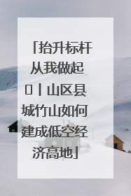 抬升标杆 从我做起⑭丨山区县城竹山如何建成低空经济高地