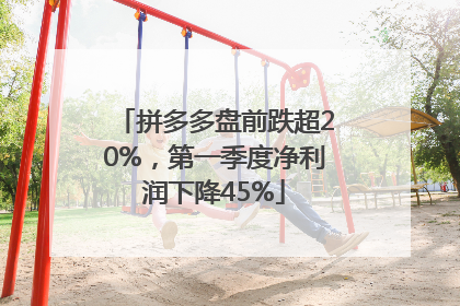 拼多多盘前跌超20%，第一季度净利润下降45%