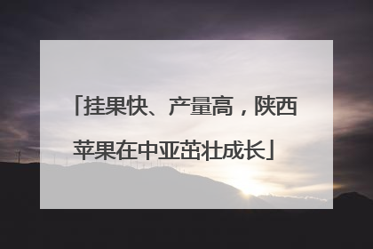 挂果快、产量高，陕西苹果在中亚茁壮成长