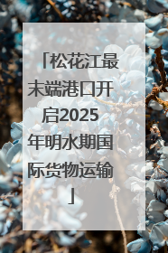 松花江最末端港口开启2025年明水期国际货物运输