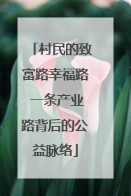 村民的致富路幸福路 一条产业路背后的公益脉络