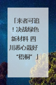 来者可追！决战绿色新材料 四川悉心栽好“梧桐”