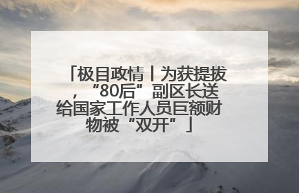 极目政情丨为获提拔，“80后”副区长送给国家工作人员巨额财物被“双开”