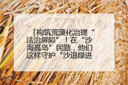 构筑荒漠化治理“法治屏障”！在“沙海孤岛”民勤，他们这样守护“沙退绿进”的生态奇迹